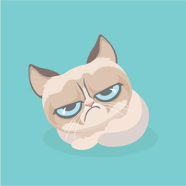 Grumpy Cat Illustrations, Royalty-Free Vector Graphics & Clip Art - iStock