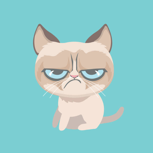 Grumpy Cat Illustrations Royalty Free Vector Graphics