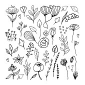 Cute hand drawn set of graphic floral and herbal elements. Doodle vector illustration for wedding design, logo and greeting card.