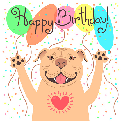 Cute happy birthday card with funny puppy Pit Bull. Loving American Staffordshire Pitbull Terrier dog and balloons. Vector illustration