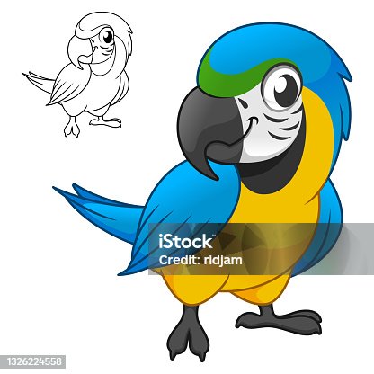 istock Cute Happy Blue and Gold Macau Parrots Standing with Line Art Drawing 1326224558