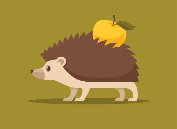 Cute hedgehog flat vector illustration. Cute little hedgehog carrying an apple on his back. Flat vector illustration. hedgehog stock illustrations