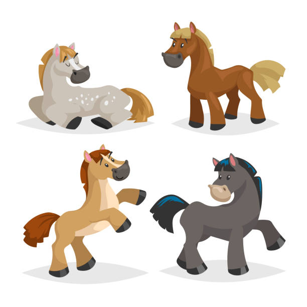 Cute horses in various poses. Cartoon style farm animals. Different colors and breeds. Sleeping, standing, riding and walking horses. Best for kid education. Vector illustration isolated on white background. Cute horses in various poses. Cartoon style farm animals. Different colors and breeds. Sleeping, standing, riding and walking horses. Best for kid education. Vector illustration isolated on white background. EPS10 + JPEG preview. pony stock illustrations