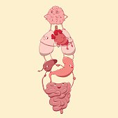 cute internal organs are friendly and happy.vector illustration