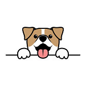 istock Cute jack russell terrier paws up over wall, Dog face cartoon, vector illustration 1158317995