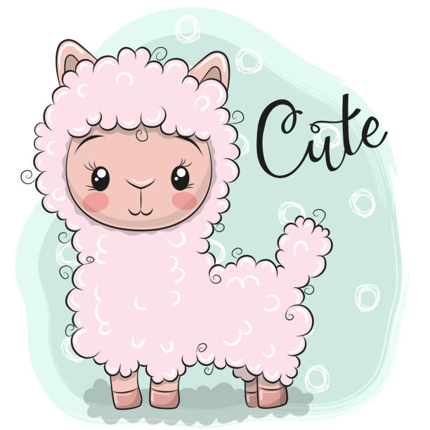 Best Clip Art Of Baby Llama Illustrations, Royalty-Free 