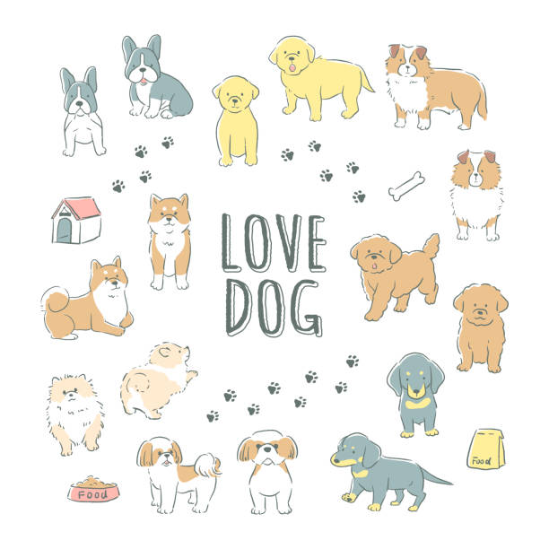 stockillustraties, clipart, cartoons en iconen met leuke lijn kunst handgeschreven hond illustratie set - jaar van de hond