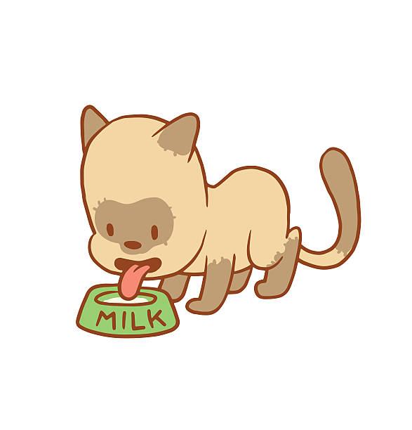 Best Cat Drinking Milk Illustrations, Royalty-Free Vector Graphics