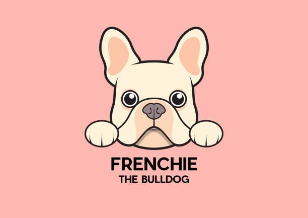 A cute little frenchie is stick to the edge of the table and waiting for some foods vector art illustration