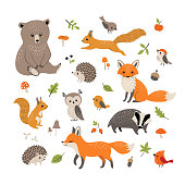 Set of cute forest animals, mushrooms, berries, leaves and acorns isolated on white background.