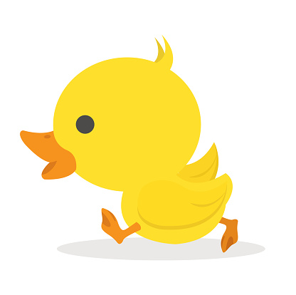 Cute little  yellow Duck