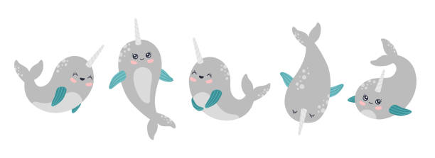 Cute magic narwhals collection, mystical celestial baby whale set vector art illustration