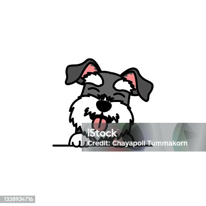 istock Cute miniature schnauzer puppy smiling cartoon, vector illustration 1338934716