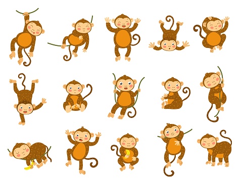 Cute monkey. Cartoon wild animals in different poses, funny ape monkeys and primate character vector set