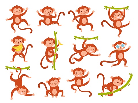 Cute monkey character. Funny jungle baby animal mascot in different poses, various emotion, exotic tropical playing mammal, ape hanging on vines hold bananas, cartoon wildlife vector set