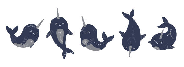 Cute mystic narwhals collection, magic celestial baby whale set vector art illustration