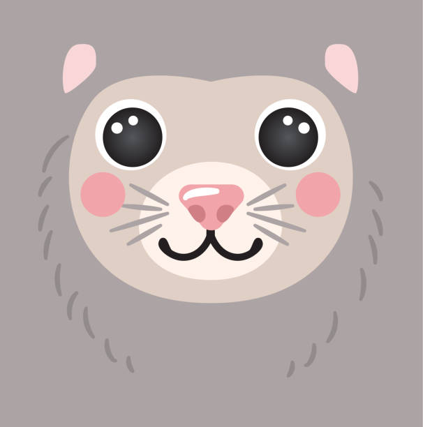 Cute opossum portrait square smiley head cartoon round shape animal face, isolated possum avatar vector icon illustration. Flat simple hand drawn for kids poster, cards, t-shirts, baby clothes Cute opossum portrait square smiley head cartoon round shape animal face, isolated possum avatar vector icon illustration. Flat simple hand drawn for kids poster, cards, t-shirts, baby clothes virginia opossum stock illustrations
