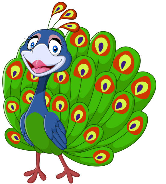 stockillustraties, clipart, cartoons en iconen met cute peacock isolated on white background - peacock back