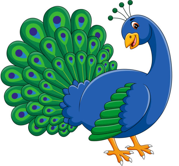 stockillustraties, clipart, cartoons en iconen met cute peacock - peacock back
