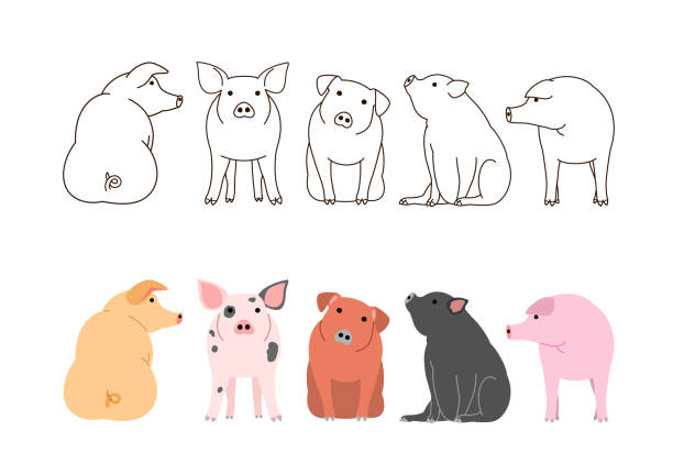 cute pigs border set cute pigs border set pig borders stock illustrations