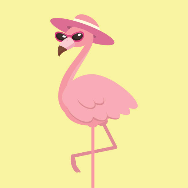 Cute pink flamingo with hat, summer time concept, vector illustration. Cute pink flamingo with hat, summer time concept, vector illustration. flamingo stock illustrations