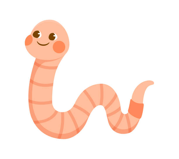 Cute pink smiling worm on white background Cute pink smiling worm on white background. Concept of stickers of cute and funny insects and garden animals for children. Flat cartoon vector illustration worm stock illustrations