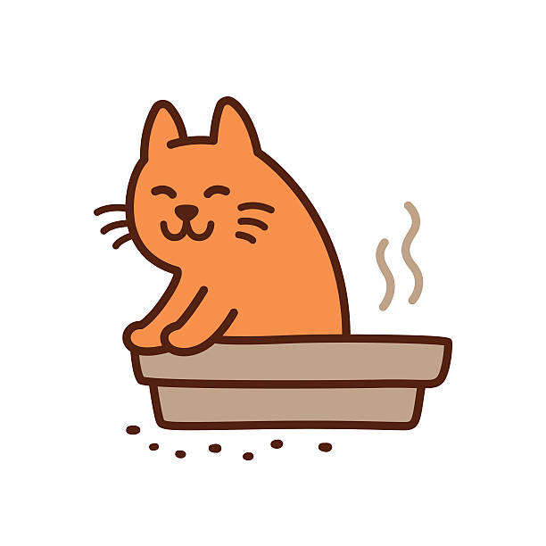 Cute pooping cat Funny cat pooping in litter box drawing. Cute cartoon vector illustration. kitten litter stock illustrations