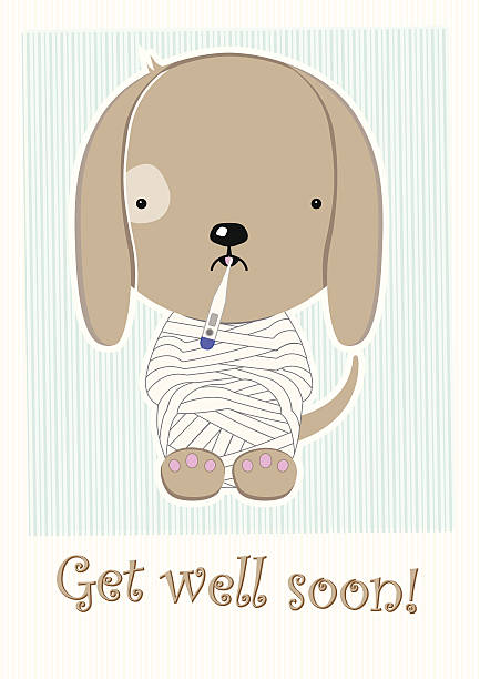 Cute Poor Sick Doggy, Get Well Soon Postcard vector art illustration