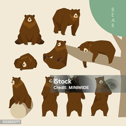 istock Cute poses of a scary bear. 1332053771