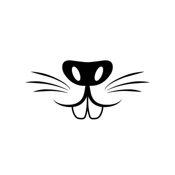 Cute rabbit nose minimalist black on white vector illustration. Cute rabbit icon. Animal nose and teeth logo vector art illustration