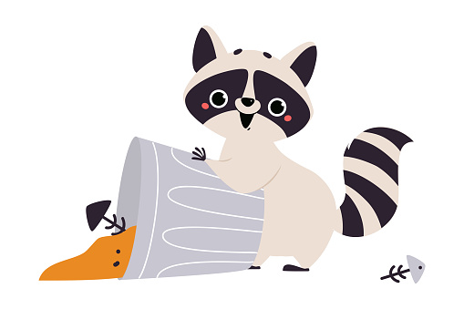 Cute Raccoon Character with Ringed Tail Digging in Dustbin Vector Illustration