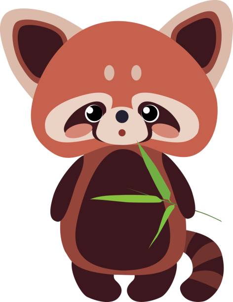 Red Panda Illustrations, Royalty-Free Vector Graphics & Clip Art - iStock