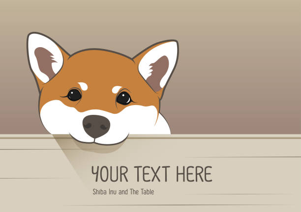 Cute Shiba Dog and His favourite quote. vector art illustration