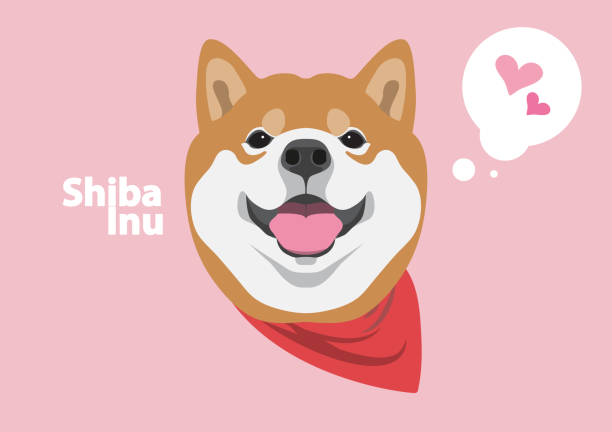 Cute Shiba Dog and His Smile vector art illustration