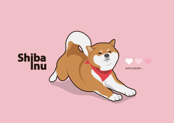 Cute Shiba Dog in Lazy Sunday. vector art illustration