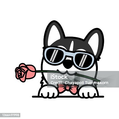 istock Cute siberian husky puppy holding a rose in mouth cartoon, vector illustration 1366491998