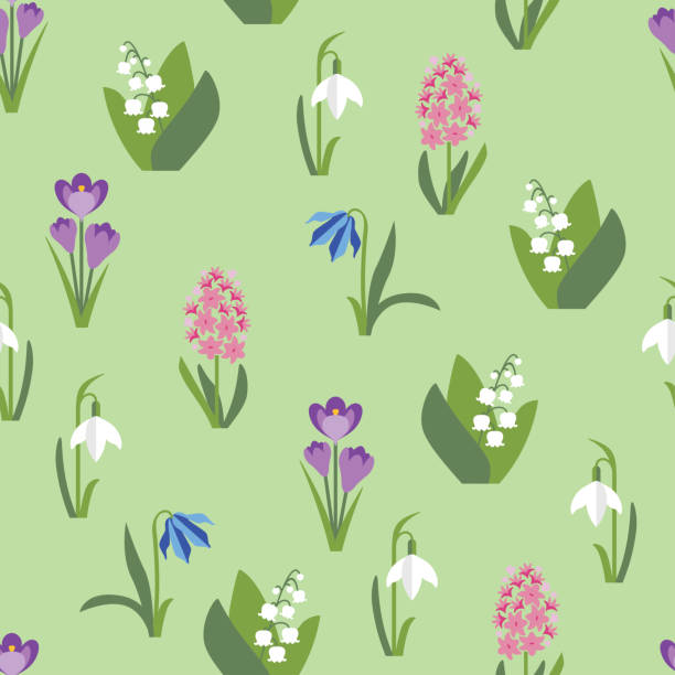 Cute spring flowers on green background seamless pattern. Wildflowers in simple flat style. Vector illustration of Crocus, hyacinth, lily of the valley, muscari, scilla and snowdrop isolated on white. Cute spring flowers on green background seamless pattern. Wildflowers in simple flat style. Vector illustration of Crocus, hyacinth, lily of the valley, muscari, scilla and snowdrop isolated on white. snowdrop stock illustrations