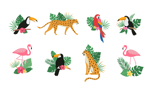 Cute toucan bird, parrot, flamingo, leopard with tropical exotic leaves and flowers of hibiscus and plumeria.