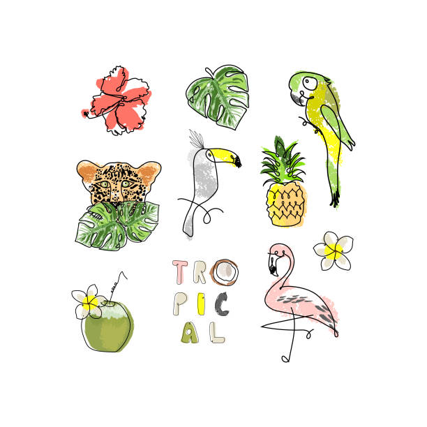 stockillustraties, clipart, cartoons en iconen met schattige tropische set - strandbordjes