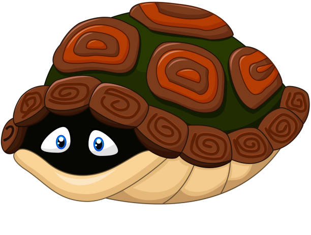 Royalty-Free (RF) Turtle Shell Clipart, Illustrations 