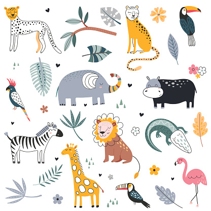 Cute vector collection of safari animals, elephant, dangerous alligator, wild cat, lion, flamingo, giraffe and tropical plants.