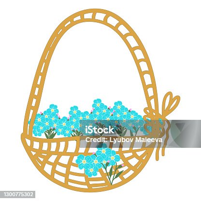 istock Cute vector set of compositions of flowers and forget me not buds: an inflorescence of forget-me-not buds, a small bouquet, cartoon basket with flowers. Stock illustration 1300775302
