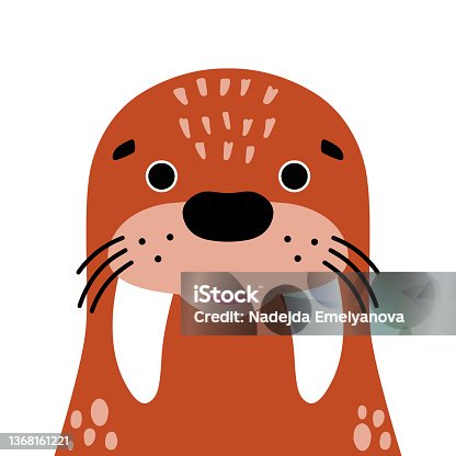 istock Cute walrus. 1368161221