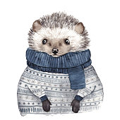 Cute watercolor hedgehog. Hand drawn vector illustration