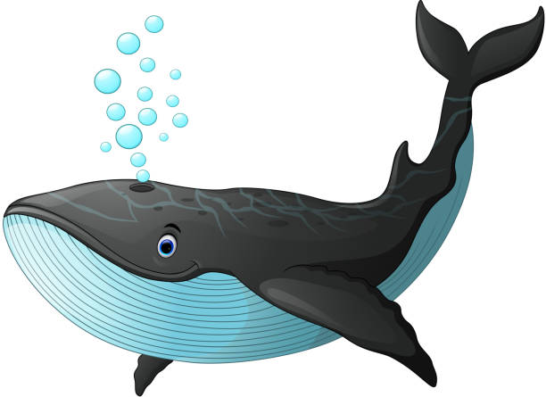 Royalty Free Cartoon Of A Whale Tails Clip Art, Vector Images & Illustrations - iStock