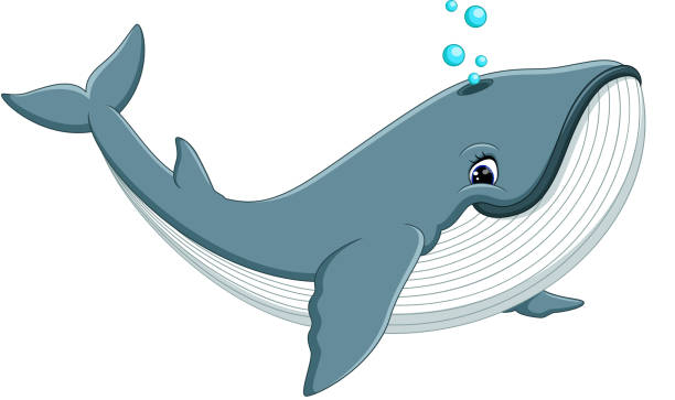 Best Cartoon Whale Illustrations, Royalty-Free Vector ...