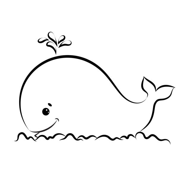 Black And White Whale Illustrations, Royalty-Free Vector ...