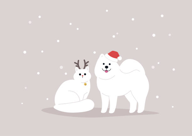 bildbanksillustrationer, clip art samt tecknat material och ikoner med söt vit katt och hund bär jul kläder, vintersäsongen, snöflingor i bakgrunden - cat snow