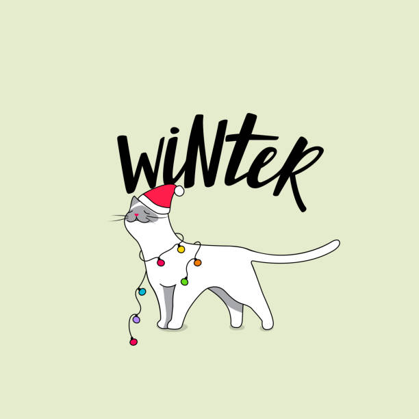 stockillustraties, clipart, cartoons en iconen met schattige witte kat met winter accessoires - christmas cat