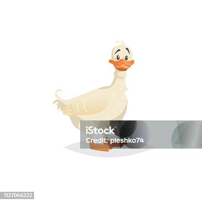 cute-white-duck-stay-funny-cartoon-duckling-character-farm-animal-vector-id1127046222?b=1&k=6&m=1127046222&s=170667a&h=  ...